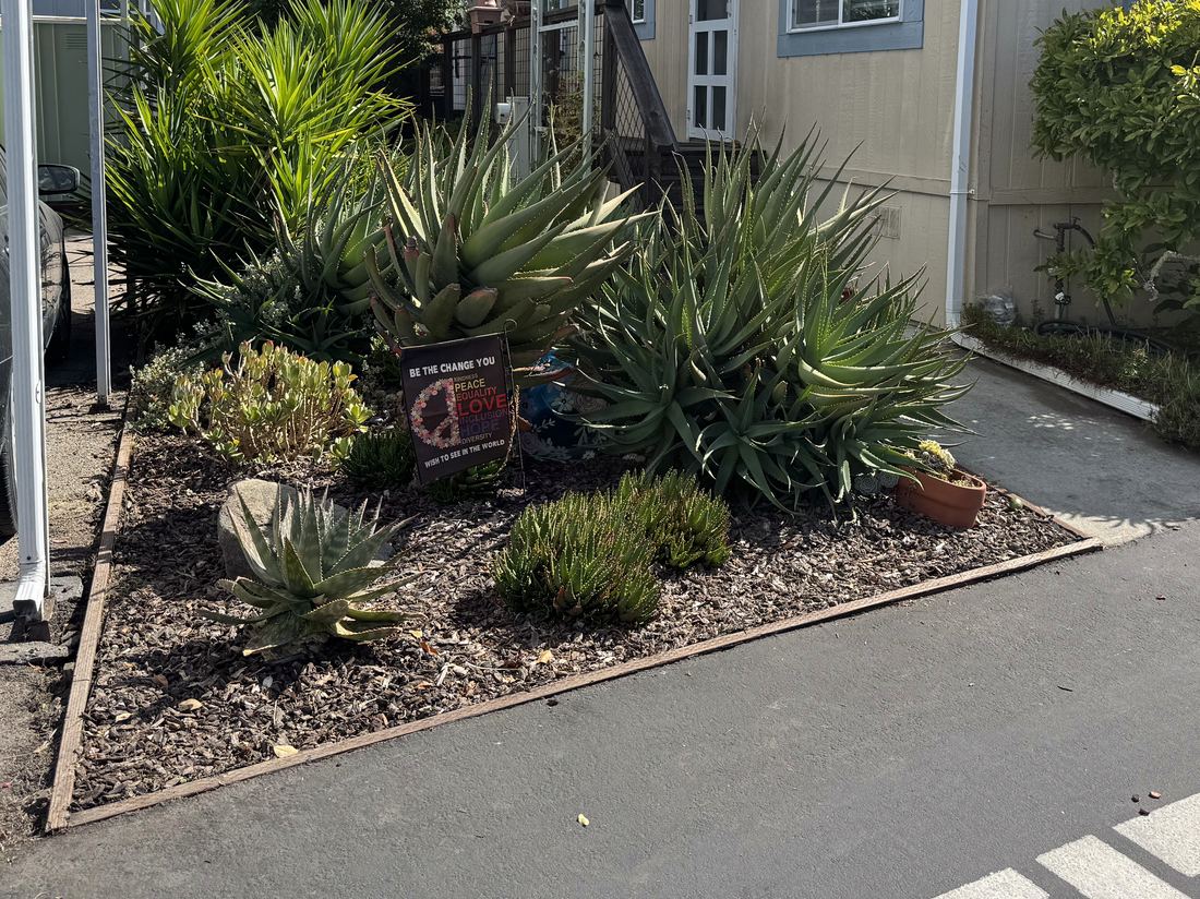 The same bed weeded, re-edged and topped with fresh mulch.