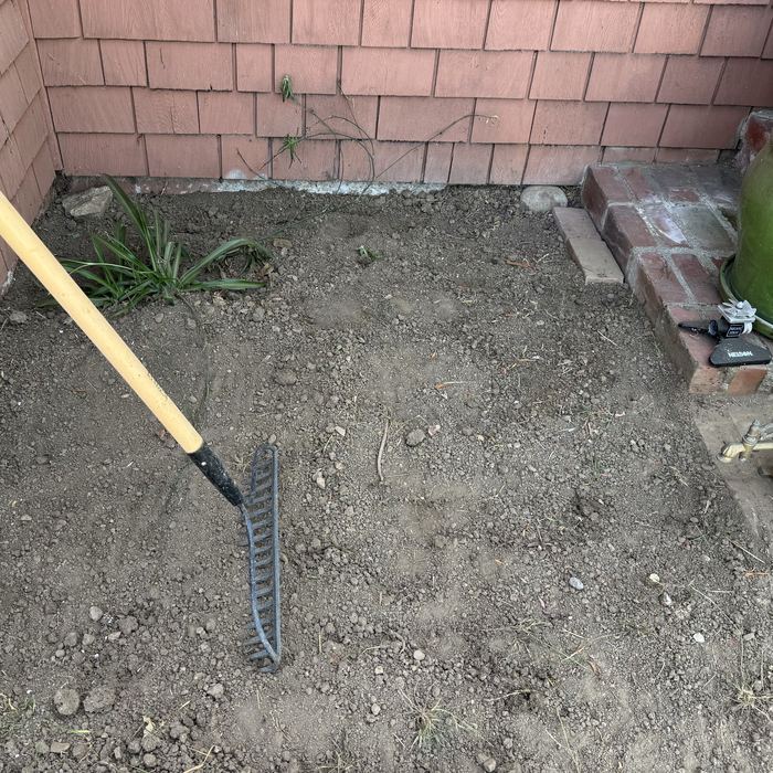 A corner of bare raked soil with a rake resting on it.